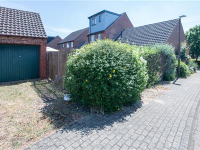 Picture 12
